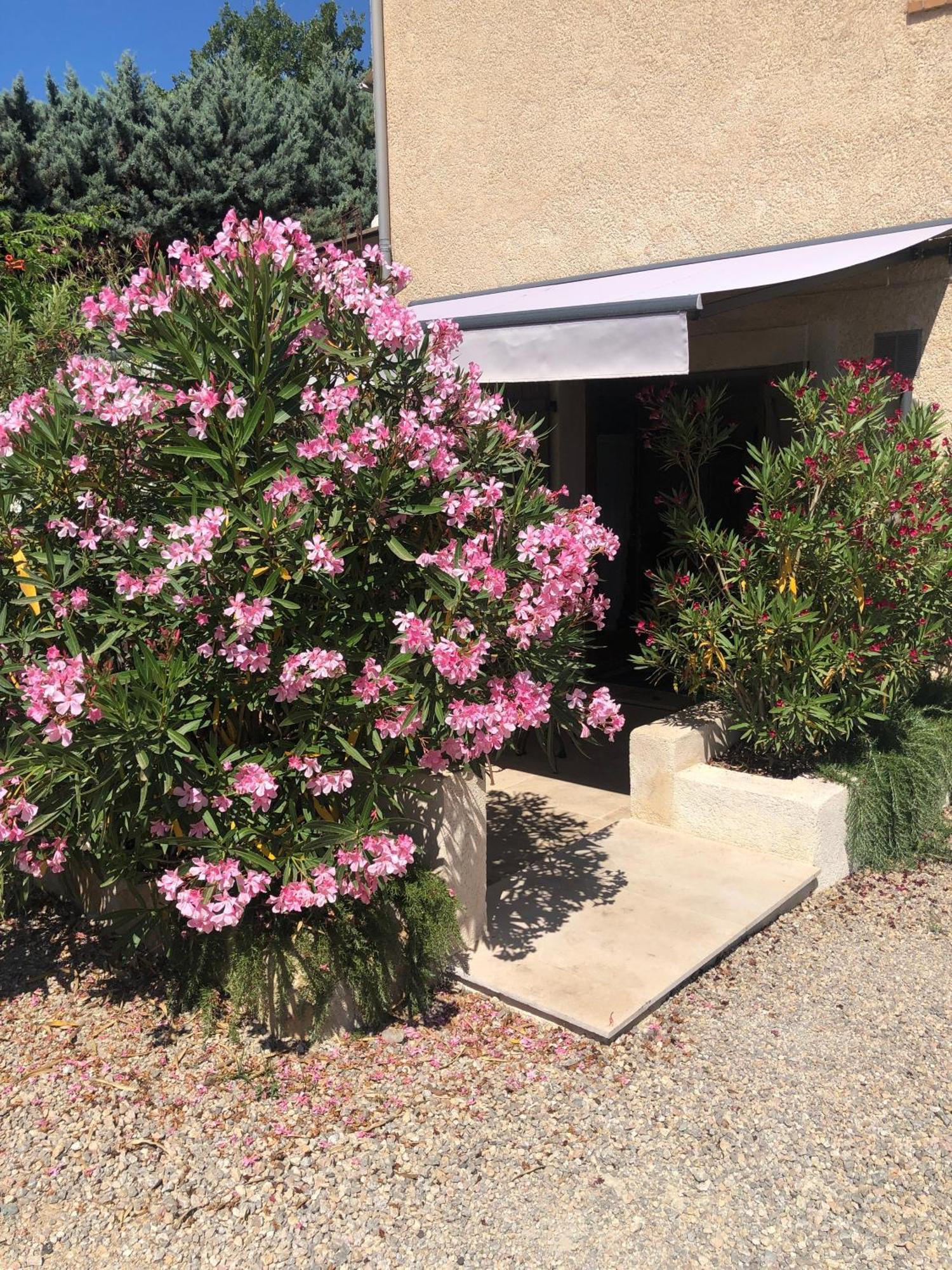 ファイエンスLe Cocon De Provenceアパートメント エクステリア 写真