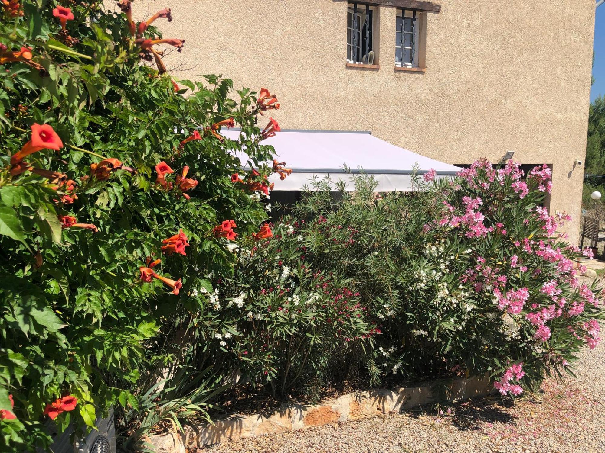 ファイエンスLe Cocon De Provenceアパートメント エクステリア 写真